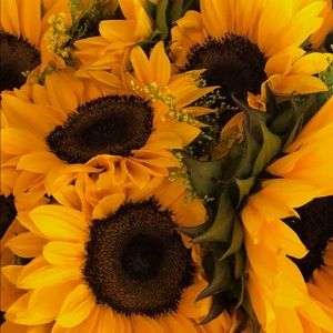 Meet your Posher, Brelan